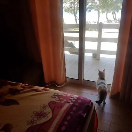 Bujtina E Zefit Pensjonat